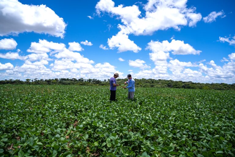 Foto de agrônomo e produtor em lavoura de soja sob céu azul com nuvens. Eles estão olhando para uma planta de soja.