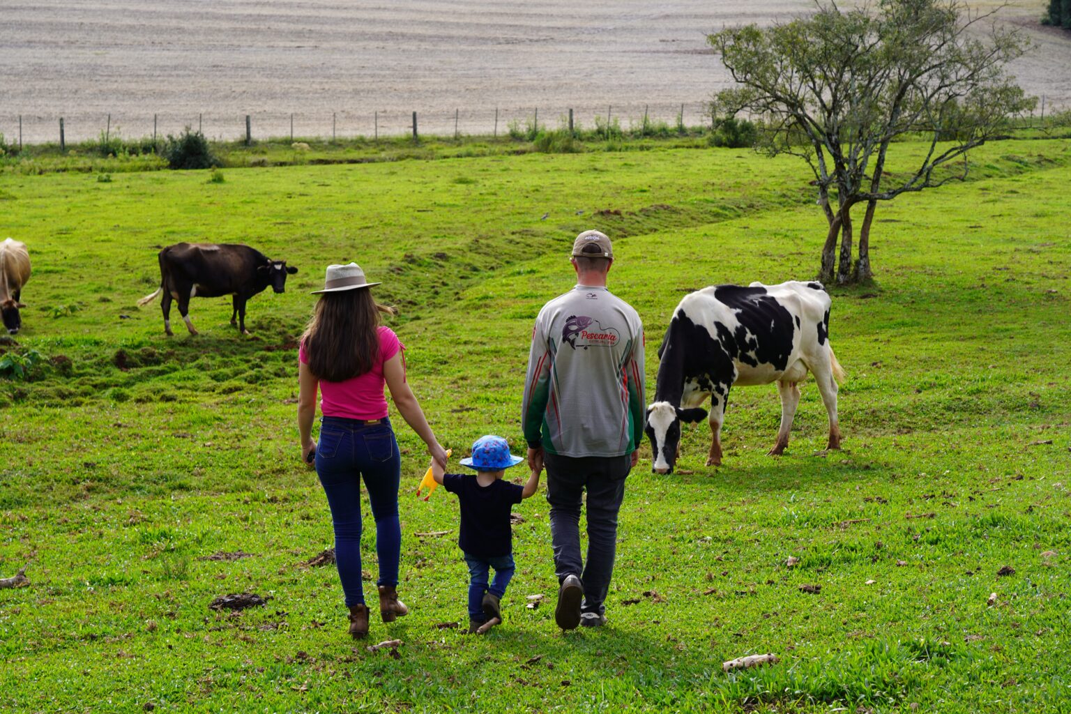 Fotos associados da Cotrijal no campo